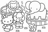 Coloring Pages Girls Summer Animals Kids Color Kitty Hello sketch template