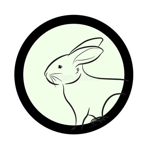 bunny face drawing closeup vector ilustracion del vector ilustracion