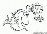 Dory Nemo Coloring Dad Drawing Dori Pages Jellyfish Getdrawings Finding sketch template
