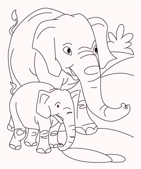 animals   babies coloring pages coloring pages