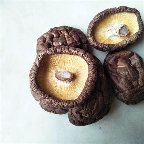 Top Thick Shiitake Mushroom New Launch