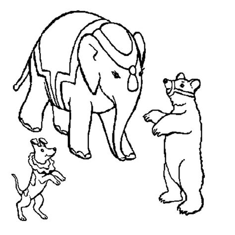 circus bear  elephant  dog coloring pages  place  color