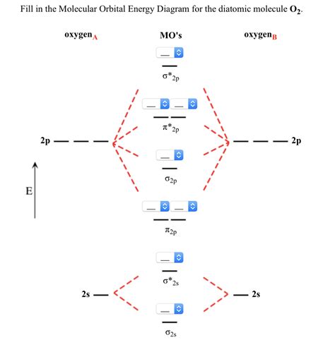 solved fill   molecular orbital energy diagram   cheggcom