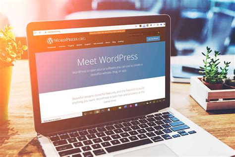 wordpress       web design platform