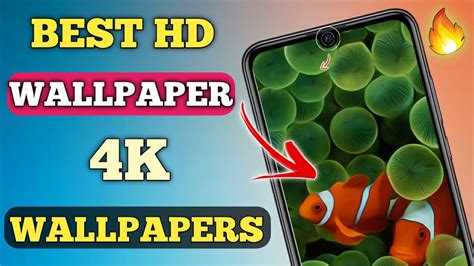 hd wallpapers app dongly tech