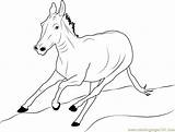 Donkey Coloring Running Pages Coloringpages101 sketch template