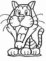 Coloring Tiger Pages Cute Popular sketch template