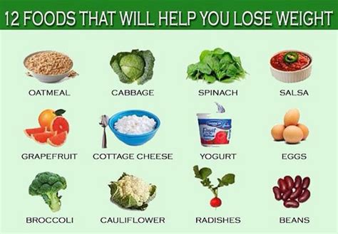 Foods That Help Lose Weight Musely
