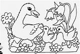 Ausmalbilder Brandmalerei Fruhling Luxus Vorlage Windowcolor Ente Enten Malvorlage 33k Tierbilder sketch template