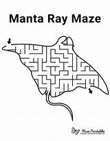 Manta Maze sketch template