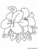 Lily Easter Coloring Pages sketch template