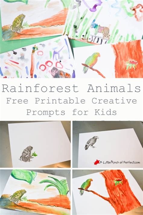 rainforest animals printable coloring prompts  kids