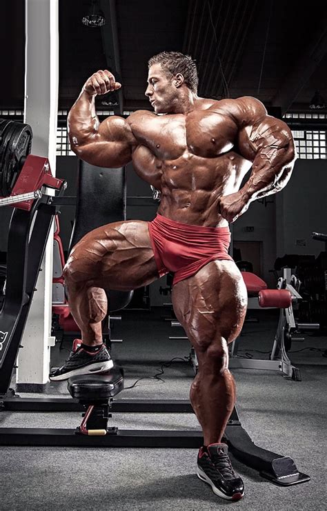 hardtrainer body building men muscle big muscle men