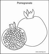 Pomegranate Coloring Printable Pages Pomegranates Colouring Kids Children Worksheet Seeds sketch template