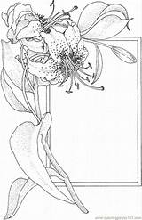 Lily Coloring Pages Flower Printable Frame Supercoloring Color Flowers Card Greeting Drawing Print Drawings Coloringpages101 Colouring Book Adults Crafts Painting sketch template