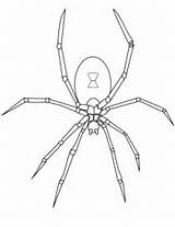 Spinne Ausmalbild Tegninger Ausdrucken Edderkop Kostenlos Aranha Malvorlage Malvorlagen sketch template
