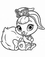 Animali Conejito Cuccioli Lapin Principesse Kolorowanki Kolorowanka Reali Colorkid Pets Principessa Domestici Royaux Compagnie Mascotas sketch template