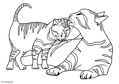 coloring page kittens  printable coloring pages img