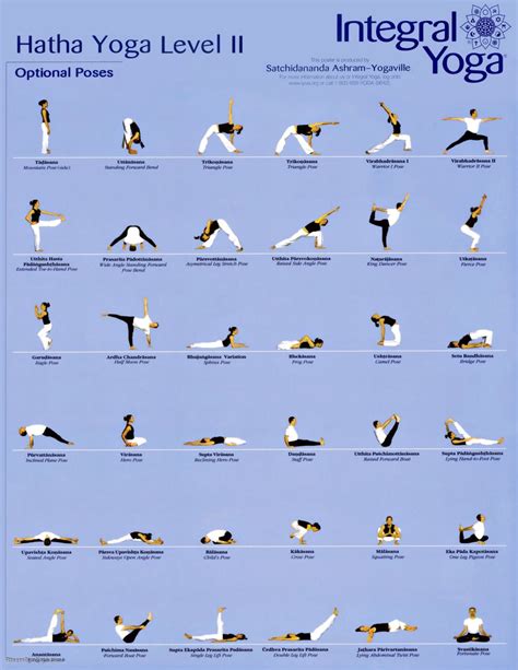 yoga hatha poses work  picture media work  picture media