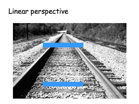 perception lecture notes depth size  shape