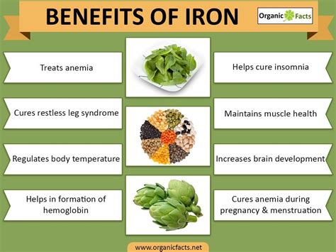 iron benefits  health