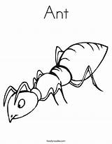 Ant Coloringhome sketch template