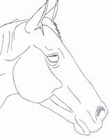 Caballo Kopf Pferde Caballos Pferd Holzpferd Pferdekopf Carving Skizze Sketch Skizzen Holz Bauen Paardenkop Tekenen Involves Schnitzen Horses Acuarela sketch template