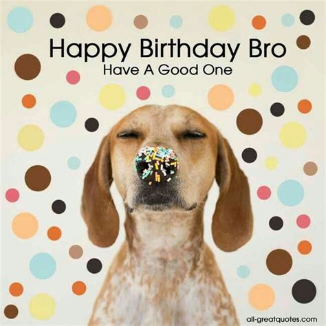 the 25 best happy birthday brother funny ideas on pinterest funny