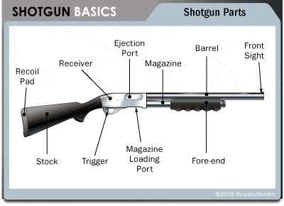 shotgun shoot