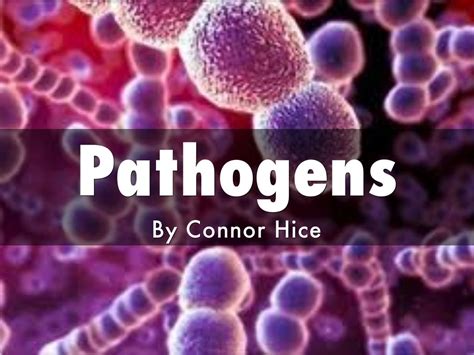 pathogens  theconman