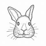 Bunny Easter Rabbit Coloring Illustration Vector Card Set sketch template