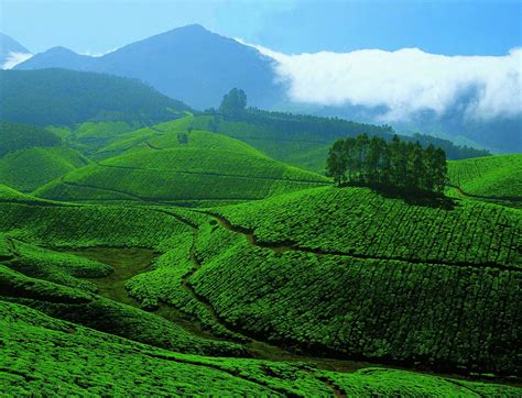 luxury hotels  india kerala tourist attractions top  exotic places  explore