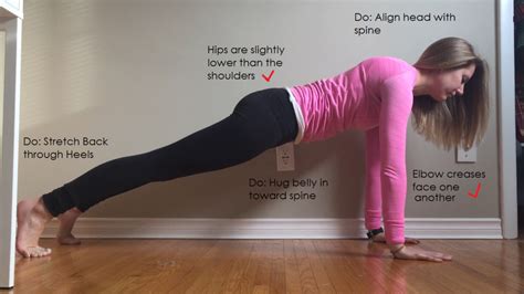 yoga pose plank dos donts   yoga yoga poses