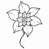 Coloring Christmas Poinsettia Flower Pages Getdrawings Getcolorings Printable Color sketch template