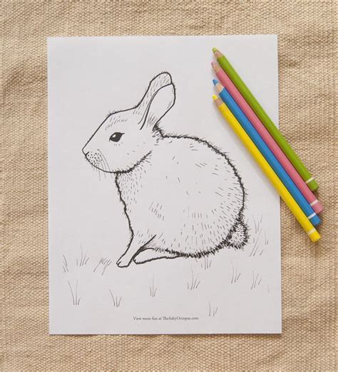 bunny coloring page rabbit coloring pages rabbit coloring