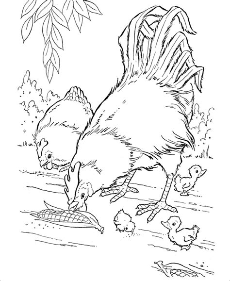 chicken coloring pages coloringbay