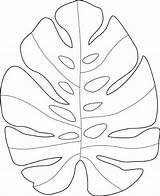 Leaf Monstera Coloring Russo Doodling Hawaiian sketch template