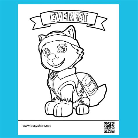 paw patrol everest  coloring page busy shark