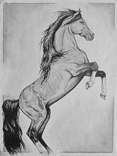 horse  ashtwin  deviantart equine art pencil drawings pencil
