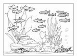 Coloring Fish Pages Aquarium Tank Ocean Underwater Fishes Whith Printable Cat Community Animals Print Color Preschool Kids Nature Sheets Life sketch template