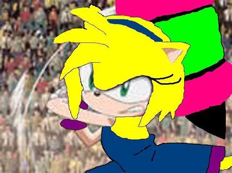 Why Crazy Got Angry Sonic Girl Fan Characters Fanpop