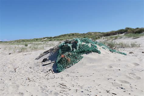 kein muell im meer tag des plastiks wattenmeer kalender