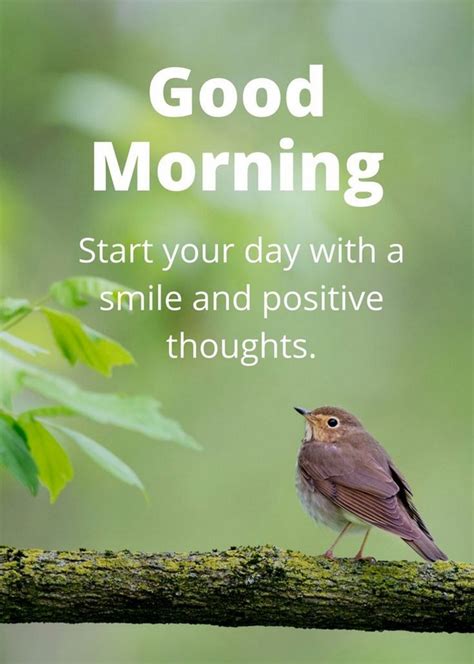 unique good morning quotes  wishes good morning quotes