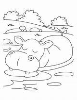 Hippo Coloring Pages Hippopotamus Relaxing Kids Printable Drawing Mood Clipart Baby Print Getdrawings Getcolorings Color Library Popular Sketch sketch template