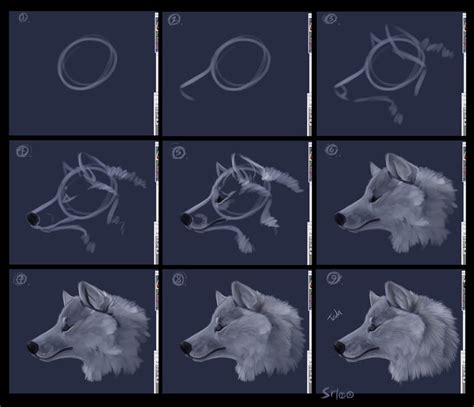 oc tutoral for wolf profiles by daisy7 on deviantart