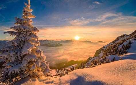 hintergrundbilder natur sonne winter kiefern baeume schnee berge