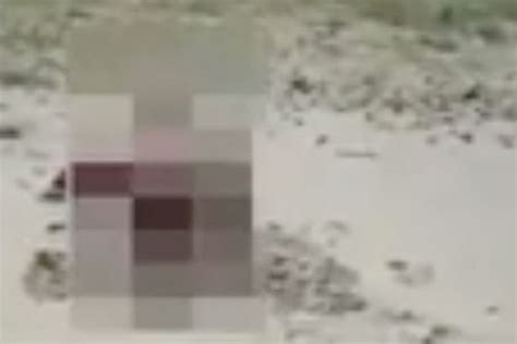 naked couple filmed having sex on beach in full view of stunned holidaymakers mirror online