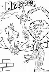 Madagascar Coloring Pages Printable Kids Coloringpages1001 Jungle Wild Animals Popular sketch template