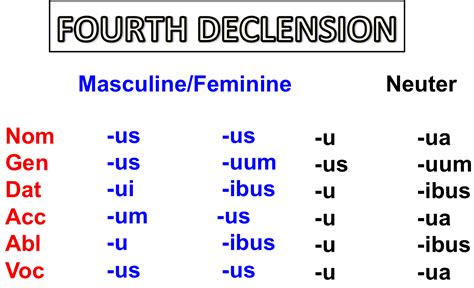 fourth declension latin nouns boobs and cock