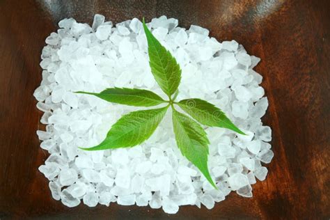 powerful green leaf  spa stock image image  salt